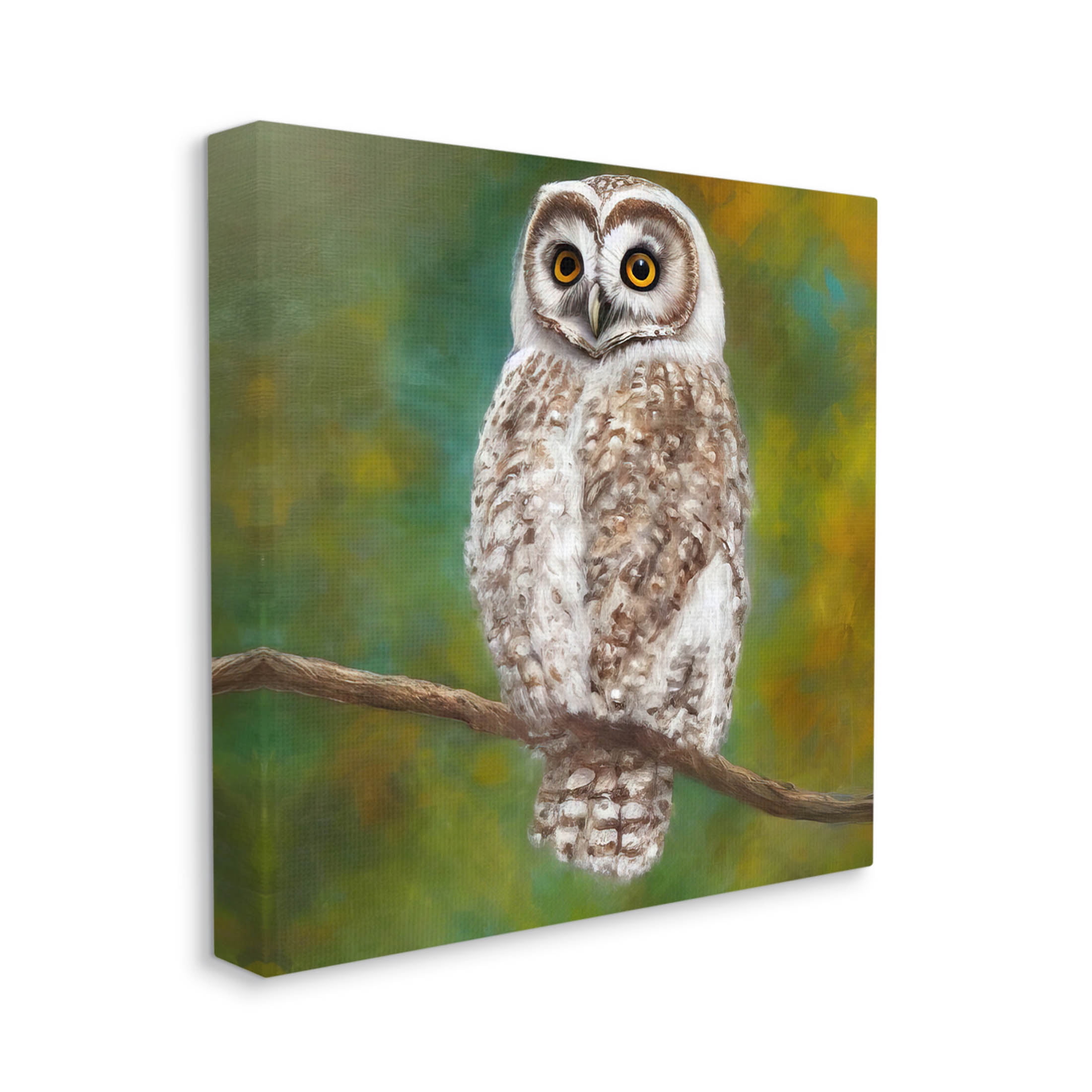 Detailed Wildlife Owl Bird Animals & Insects Painting Gallery Wrapped Canvas Print Wall Art