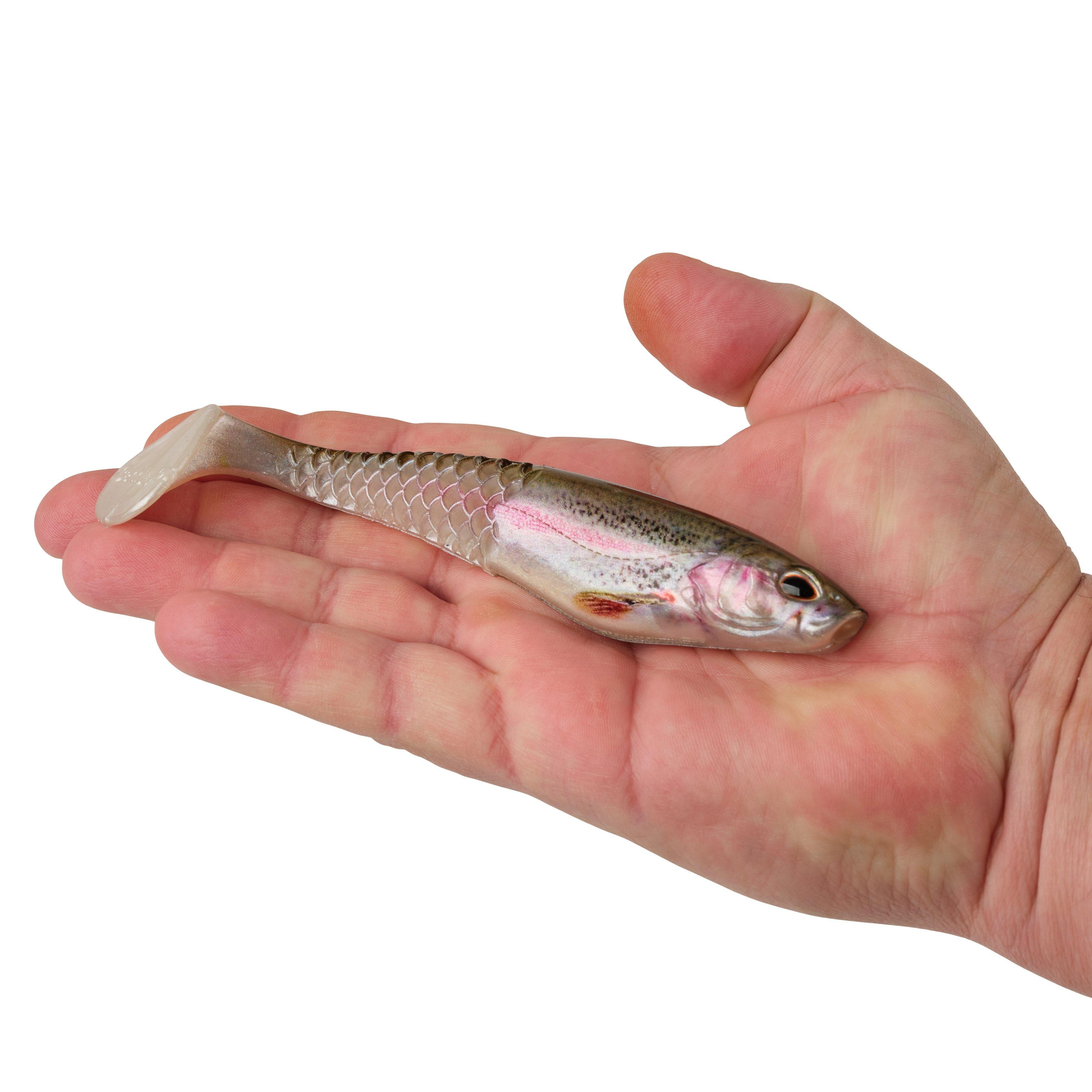 Berkley PowerBait® Unrigged CullShad, 6 in, HD Rainbow Trout