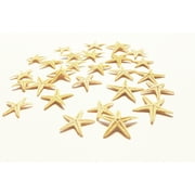 50 Tiny Mini Starfish - Philippine Tan Flat Sea Stars (1/2" - 1" / 13-26 mm) Beach Crafts Wedding Invitations Nautical Home Decor