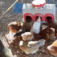 thumbnail image 3 of OverEZ Chicken Coop-Chicken Feeder - OverEZ Chicken Coop OEZCF, 3 of 5