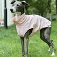 thumbnail image 6 of HQREA Sun Protection Dog Shirt, Quick Dry Sleeveless Thin T-Shirt for Italian Greyhound, 6 of 6