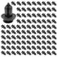 thumbnail image 2 of (Combinación A+A) 100 Uds. Tarjeta Guardabarros Con Hebilla Tornillo Clavo Con Núcleo Parachoques Coche Adecuada para Diámetro 10mm, 2 of 9