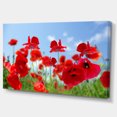 thumbnail image 2 of Gros Plan de Fleurs de Pavot Incroyables - Impression sur Toile Florale, 2 of 3