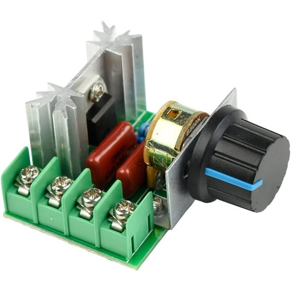 CHANCS PWM AC Motor Speed Controller Input 220V Output 50V-220V AC Controller Adjustable Driver Switch
