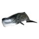 thumbnail image 2 of Modelo de ballena Yotijar figura de ballena, 2 of 8