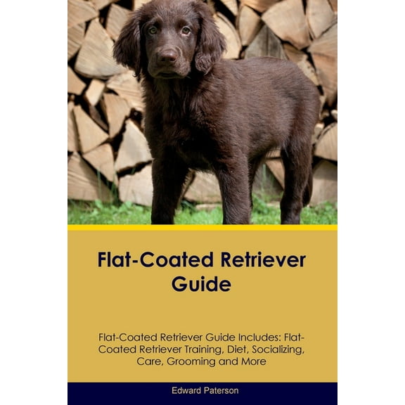 Flat-Coated Retriever Guide Flat-Coated Retriever Guide Includes: Flat-Coated Retriever Training, Diet, Socializing, Car, (Paperback)