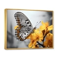 thumbnail image 2 of Designart "Butterfly Haven Yellow Grey II" Animals Floater Framed Canvas Print, 2 of 7
