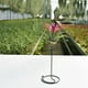 thumbnail image 2 of Juego de 3 soportes para flores en espiral con base de piña y base alta, sin incluir las plantas, 2 of 5