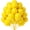 Yellow, variant on Yellow Balloons 12 inch, 50 Pack Yellow Party Balloons Good Quality for Birthday Graduation Baby Shower Wedding Sunflower Bee Party Decorations (with Yellow Ribbon)