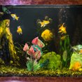 thumbnail image 1 of WASHWEPE 10Ud Decorativas Sintéticas Para Acuarios Que Añaden Multicolor, 1 of 6