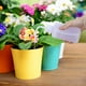 thumbnail image 3 of Botellas de lavado seguras de 250 ml para uso en tatuajes, laboratorios y jardines: botellas de plástico apretujables duraderas para plantas, paquete triple, 3 of 5