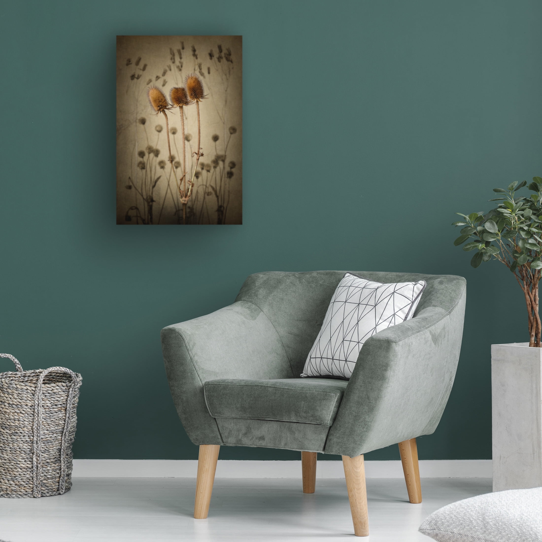 Canvas Wall Art - Rob Olivier 'Teasel' Wall Art for Living Room, Bedroom, or Office Décor by Trademark Fine Art - 30 x 47 Inches