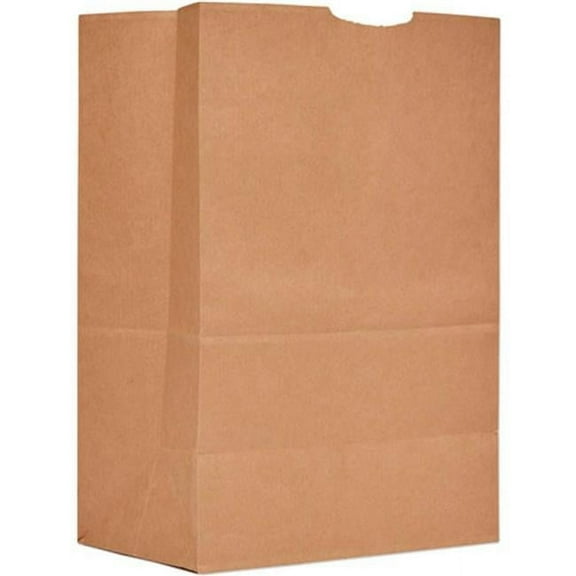 0.16 BBL, Kraft Paper Grocery Bags - 12 x 7 x 17 in. - Pack of 500