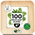 thumbnail image 1 of Platos desechables KoalaLove Palm Leaf de 20 cm, paquete de 100, 1 of 8
