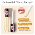 thumbnail image 3 of WREESH Transparent Lip Plumping Oil, Moisturizing And Diminishing Lip Lines, 3 of 8