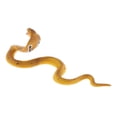 thumbnail image 3 of Static Animal Model Action Figure Toy for Kids and Toys for Adults Yellow Cobra, 3 of 7