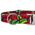 thumbnail image 5 of Country Brook Petz® Premium Summer Melon Dog Collar and Leash, Large, 5 of 6