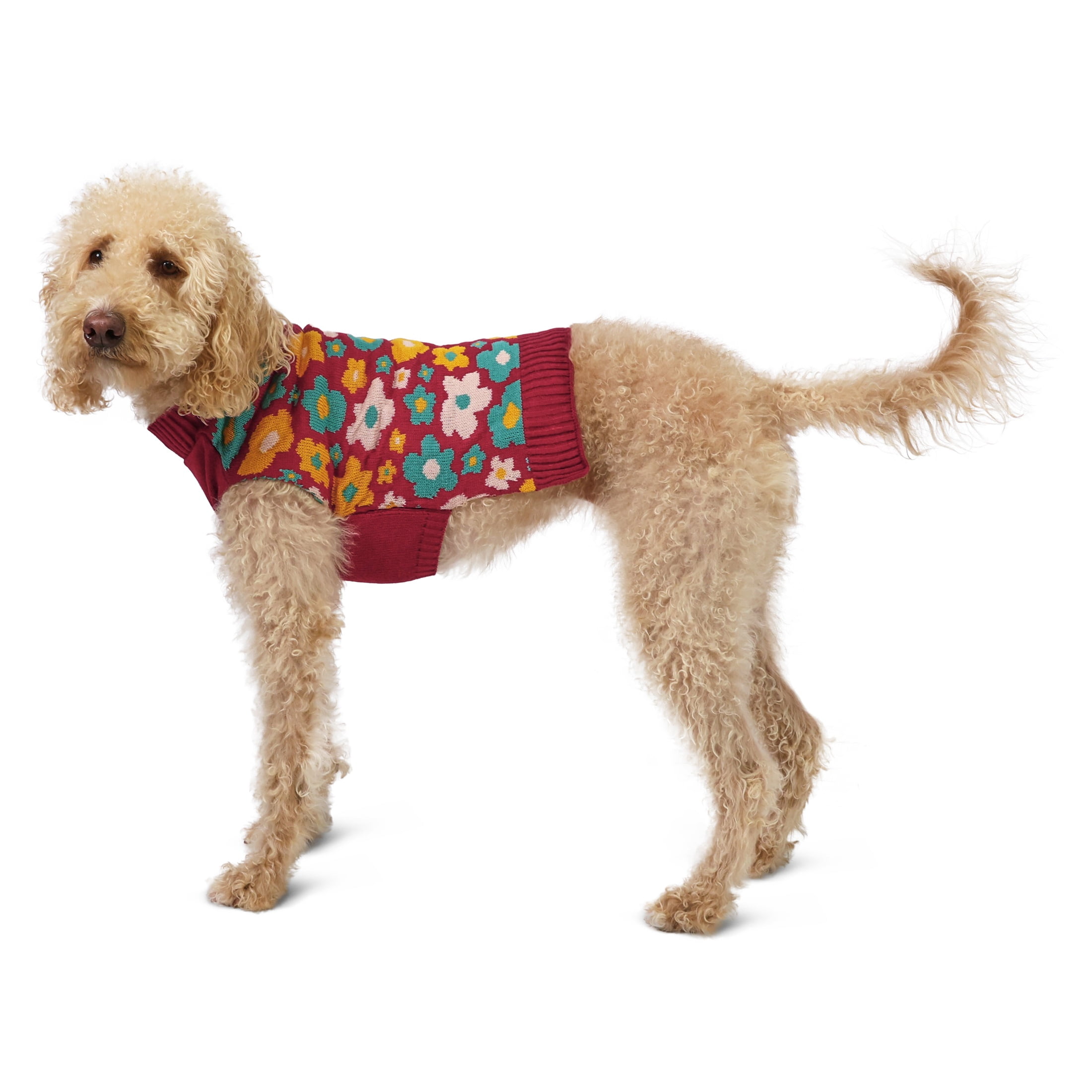Vibrant Life Sweater for Dogs, Fall Flowers, Red and Yellow, M