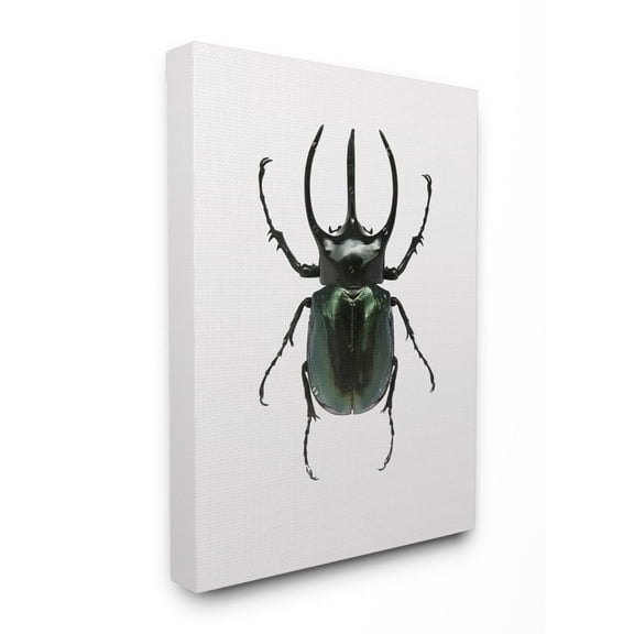 Stupell Home Décor Beetle Horned Black Green Animal Photograph Canvas Wall Art by Design Fabrikken