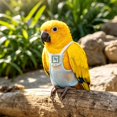 thumbnail image 4 of Blue S Breathable Summer Bird Diaper Bundle, Reusable Washable Parrot Nappy Comes with 1.4m Leash + Free 10 Disposable Pads, Ideal for Parrots, Conures, Cockatiels & Pigeons, 4 of 5