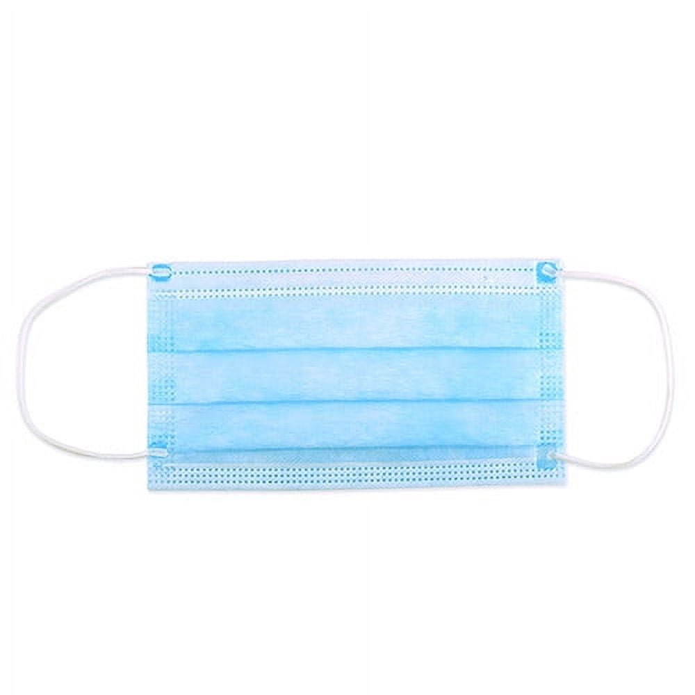 (2 pack) Heypex Global Earloop Disposable Face Masks, 50ct.