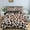 style994, variant on Leopard Print Microfiber Print Duvet Cover for Kids Teens Men Women Gifts Wild Animals Theme Bedroom rtions King Size