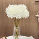 thumbnail image 5 of Juego Decorativo de Flores Artificiales con 2 Flores Falsas de Plástico, 38 cm, para Hogar, Sala de Estar, Mesa de Comedor, Bodas, Hotel, Paisajismo, 5 of 6