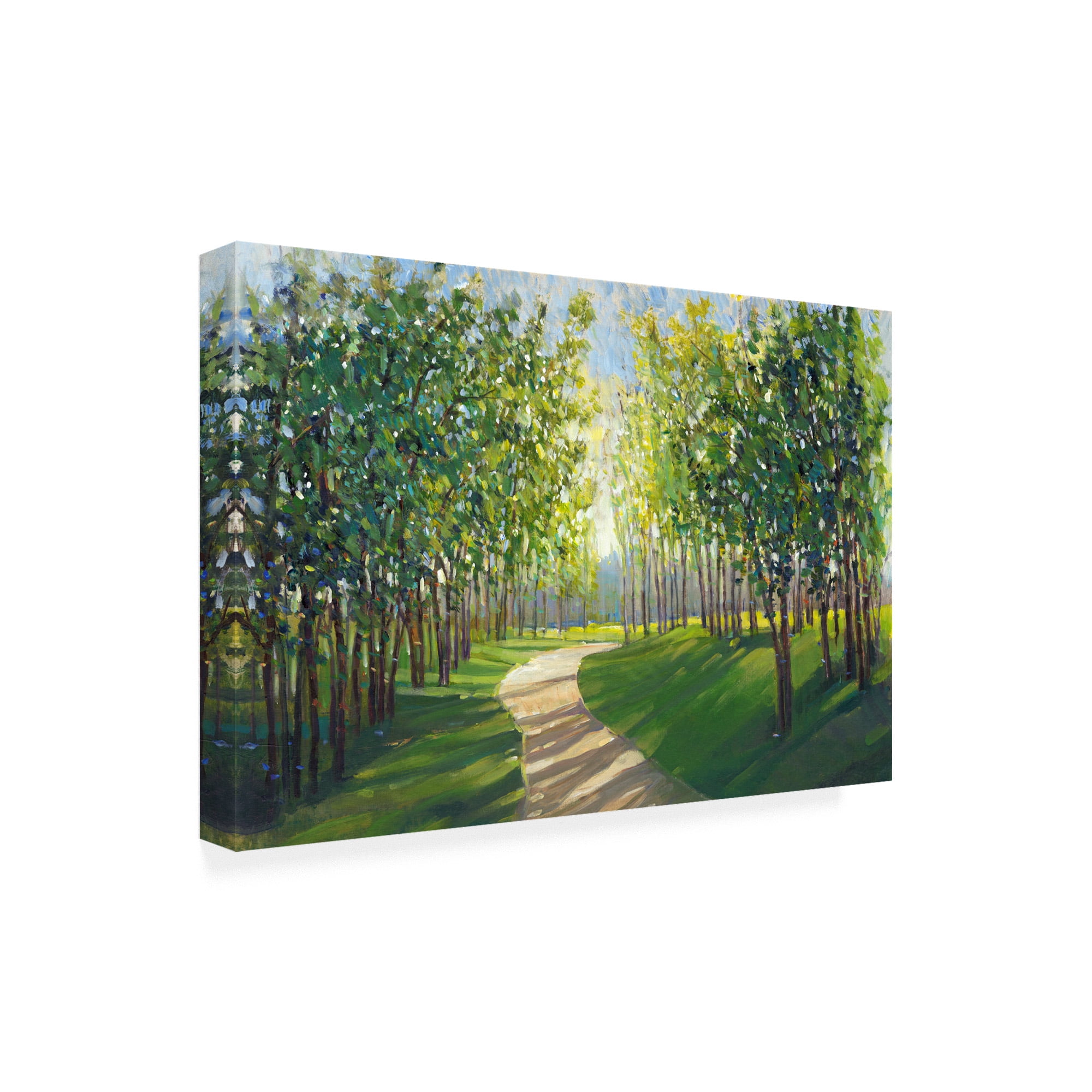 Trademark Fine Art 'Walking Trail I' Canvas Art by Tim OToole