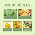 thumbnail image 5 of Hair Oil,Hair Essential Oil Care Oil,Hair Smoothing Treatment To Improve Dry And Irritable Hair Care Essential Oil, 5 of 6