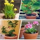thumbnail image 5 of 8 estacas de soporte para plantas, estacas de plástico reutilizables para trepar plantas de interior con 8 clips de fijación, tallos flexibles para un crecimiento óptimo, ideales para, 5 of 7