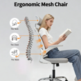 thumbnail image 4 of Yvike Ergonomic Office Desk Chair, Breathable Mesh Swivel Computer Chair, Lumbar Back Support Task Chair, Office Chairs with Armrests Lumbar Support and Adjustable Headrest Tilt Function,Grey, 4 of 8
