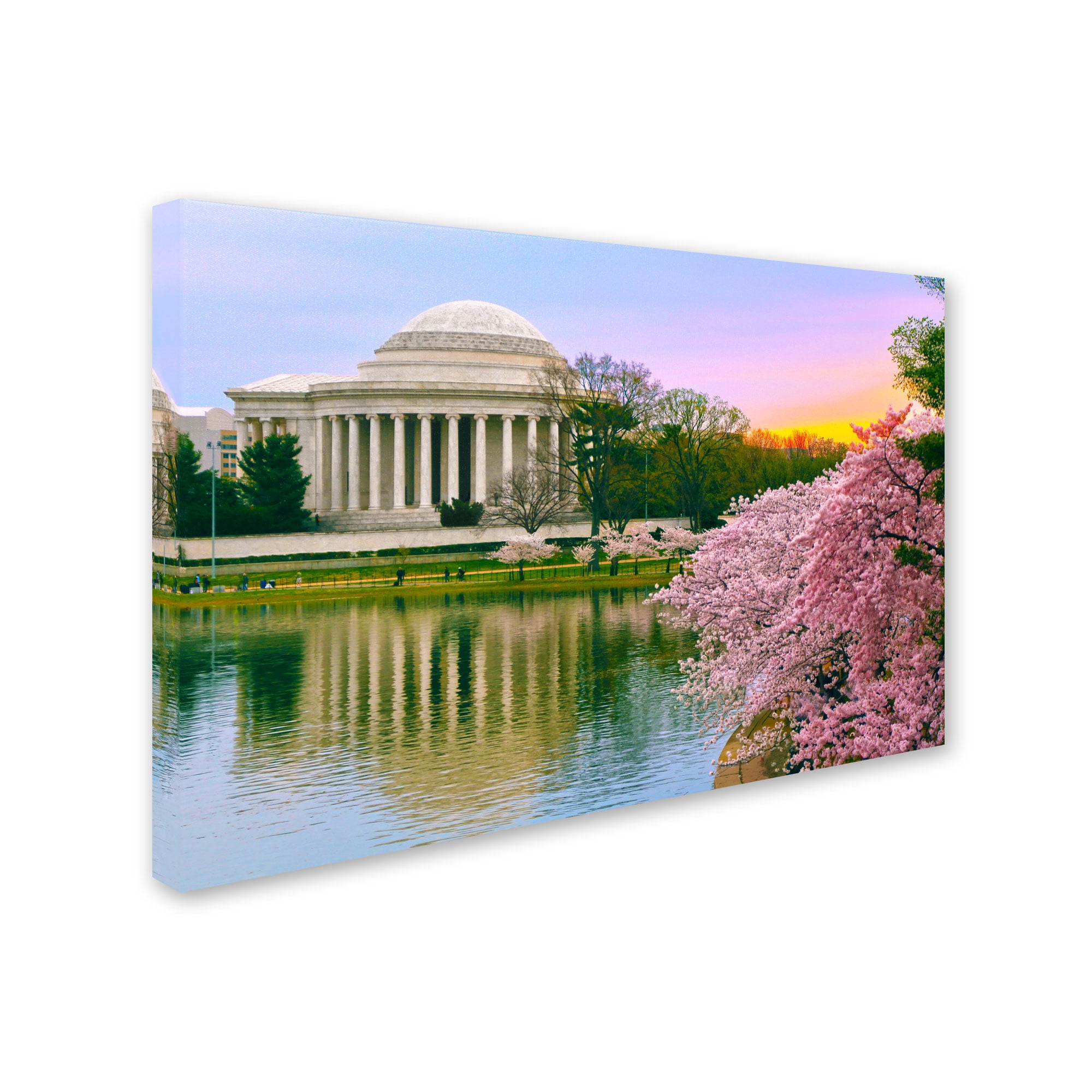 Trademark Fine Art "Cherry Blossoms 2014-6" Canvas Art by CATeyes