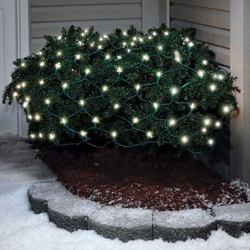 Celebrations 40806 71 100 Count Led Cool White Traditional Net Lights Walmart Com Walmart Com 100 Count Led Christmas Lights