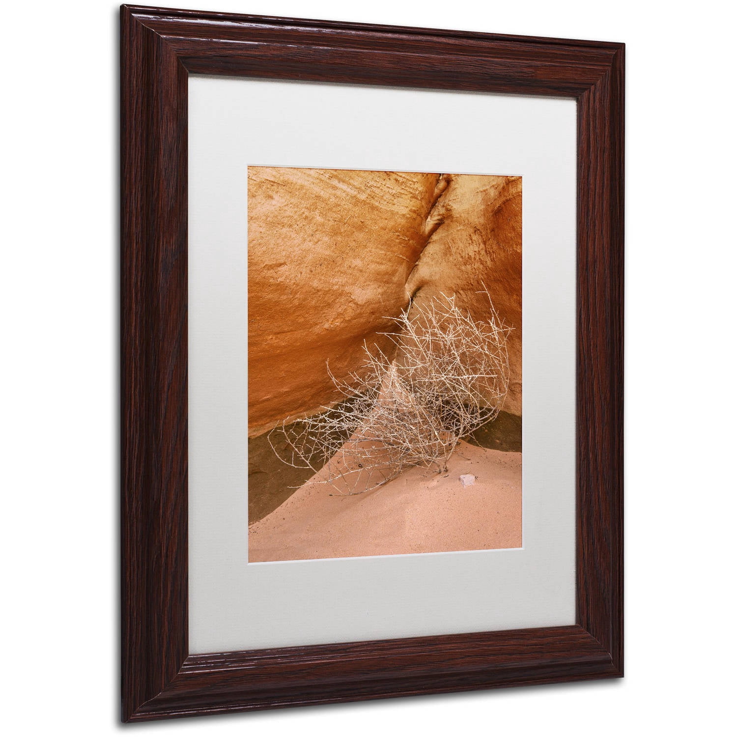 Trademark Fine Art 'Tumbleweed' Canvas Art by Michael Blanchette Photography, White Matte, Wood Frame