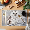 thumbnail image 2 of Winter Owl Placemats Set of 6 Country Birds Animal Tree Branches Snow Place Mats Indoor Wipeable Table Mats Washable Cloth Dining Table Placemats for Kitchen Holiday Party Home Decor 13x19 Inch, 2 of 9