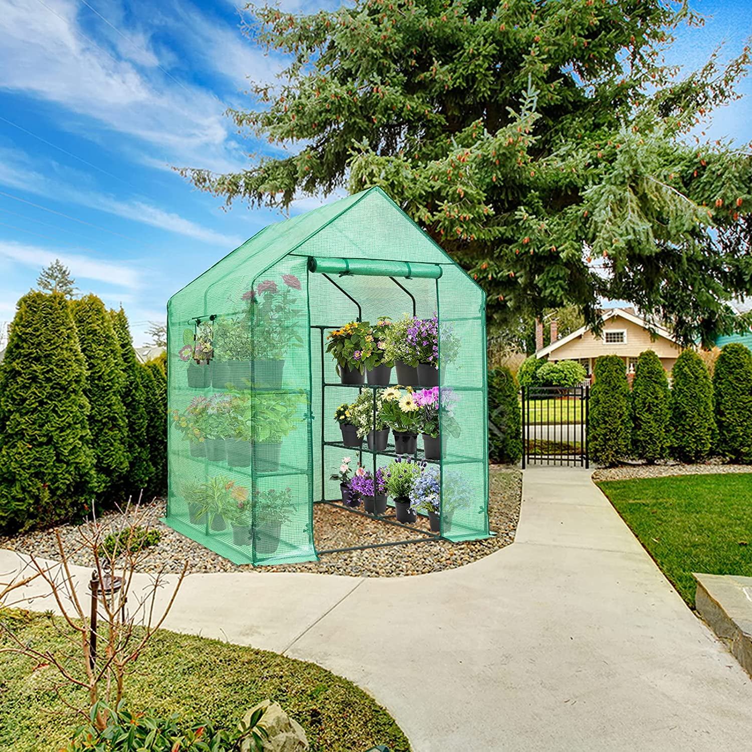 EAGLE PEAK Walk-in Greenhouse 2 Tiers 8 Shelves with Roll-up Zipper Door and 2 Side Mesh Windows, Outdoor Indoor Portable Gardening Plant House 56 x 56 x 77 in , Green