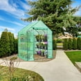 thumbnail image 3 of EAGLE PEAK Walk-in Greenhouse 2 Tiers 8 Shelves with Roll-up Zipper Door and 2 Side Mesh Windows, Outdoor Indoor Portable Gardening Plant House 56 x 56 x 77 in , Green, 3 of 10