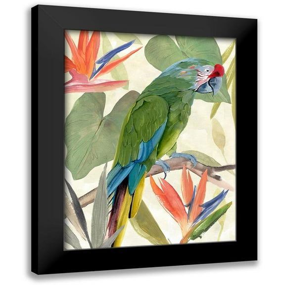 Warren, Annie 12x14 Black Modern Framed Museum Art Print Titled - Tropical Parrot Composition I