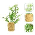 thumbnail image 3 of Mini Potted Plant Miniature Bonsai Mini Bonsai Craft Mini House Plant Ornament, 3 of 7