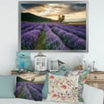 thumbnail image 3 of Designart 'Dramatic Clouds and Sunrise Over Lavender Field VII' Farmhouse Framed Art Print, 3 of 4