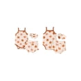 thumbnail image 3 of Aojekbee Baby Girls Summer Shorts Sets Sleeveless Floral Print Cami Romper Shorts Headband Sets, 3 of 10