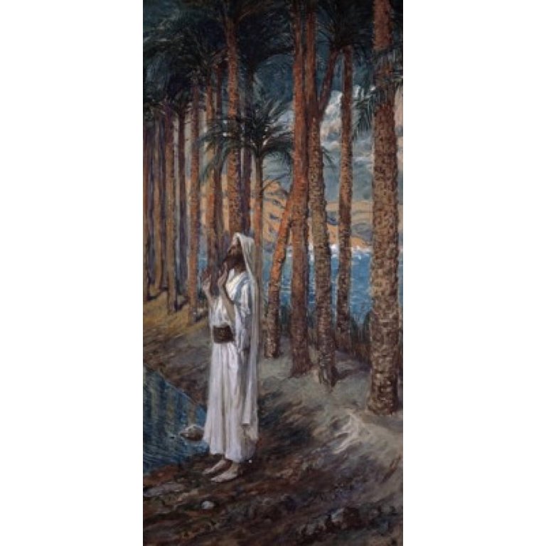 Superstock The Palm Tree by James Tissot Canvas Art photo 1