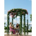 thumbnail image 2 of Gaderth 8.8 Ft Birdcage Shape Garden Arch Arbor, Reinforced Metal Garden Arbor With Rust Resistant Frame For Climbing Roses Vines, Wedding Pergola Pavilion For Patio Backyard Lawn Outdoor Decor, Black, 2 of 5