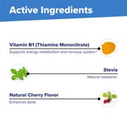 Superior Source B-1 100 mg - Vitamin B Supplement Supports Healthy Energy & Growth - Nervous & Digestive System Support Formula with Thiamin - 100 Sublingual Dissolving Tablets