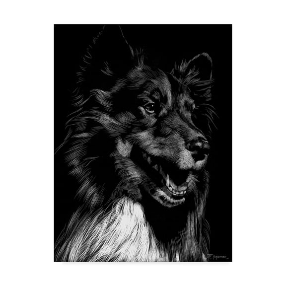 Trademark Fine Art 'Canine Scratchboard X' Canvas Art by Julie T. Chapman