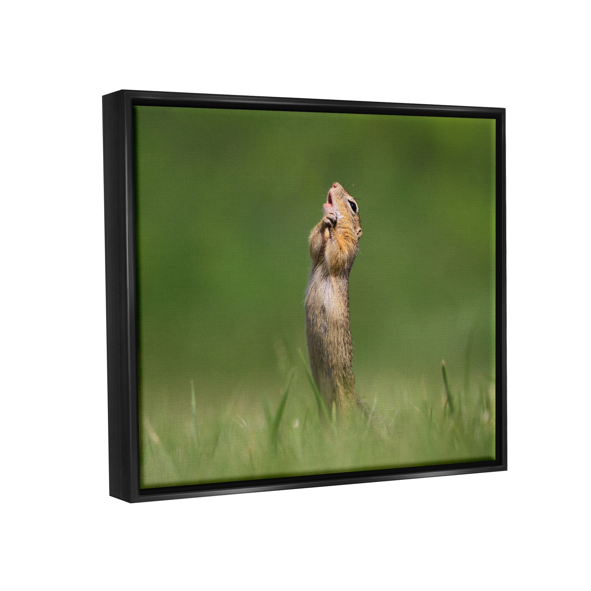 Stupell Industries O Sole Mio Funny Animal Animals & Insects Photography Black Floater Framed Canvas Art Print Wall Art, 21 x 17