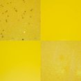 thumbnail image 4 of Vickerman N592578DA 10 in. Yellow Ball 4 Finish Assorted Ornament - 4 per Bag, 4 of 4