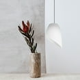 thumbnail image 2 of 2pcs Small 40mm Opening Indoor Plastic Lampshade Light Cover Accessory, 2 of 6