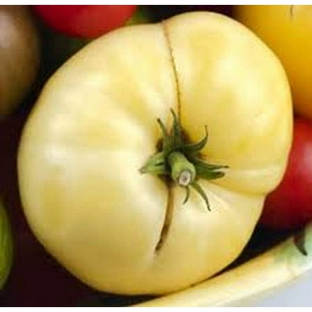 Tomato Great White Great Heirloom Garden Vegetable by Seed Kingdom 200 Seeds