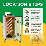Hatching Time HB350 S - Egg Incubator - Setter (High Hatch Rate, 2 Doors, Set & Forget Design) | Cimuka